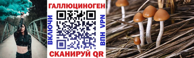 Псилоцибиновые грибы Psilocybe  закладка  Киржач 