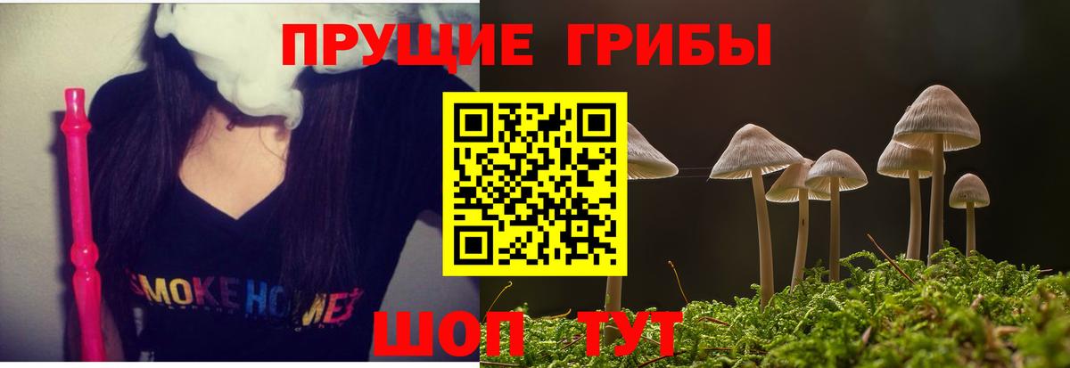Киржач  Псилоцибиновые грибы GOLDEN TEACHER  Вход с VPN 